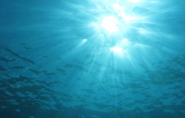 二氧化碳排放的长期后果 海洋中的氧气将继续减少