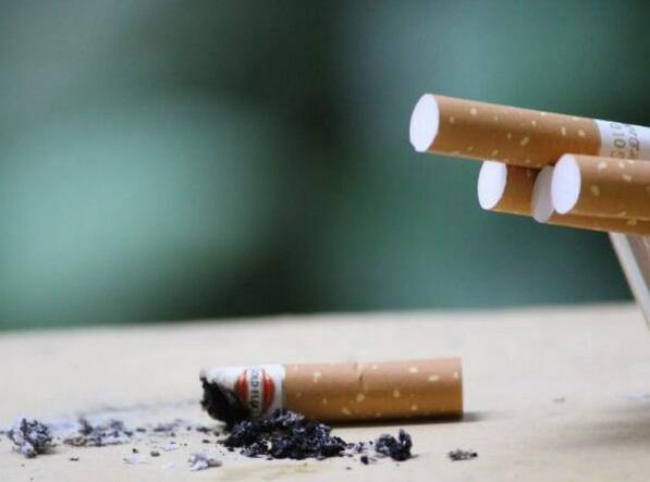 新技术可同时降低烟草中的尼古丁含量和有害化合物
