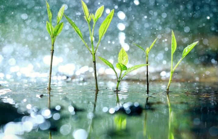 人类活动造成了四天的降雨延迟 阻碍了水文循环