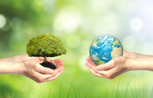 国会敦促立法以加强环境法的执行