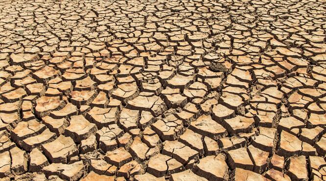 应对世界旱地水安全挑战的方法