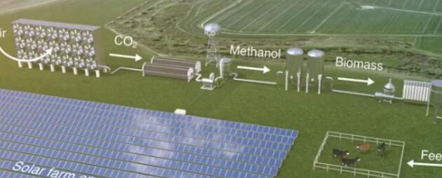 我们可以用太阳能微生物养活世界吗