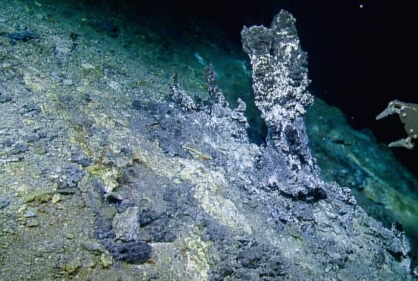 研究了深海微生物捕食者在热液喷口中的作用