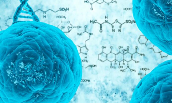 疾病生态学家团队记录了抗微生物鼠疫的人际传播