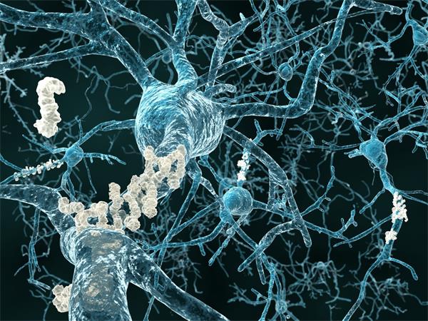 研究人员开发出研究神经退行性疾病的新方法