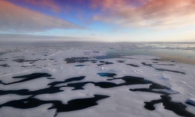人工智能帮助预测北极海冰损失