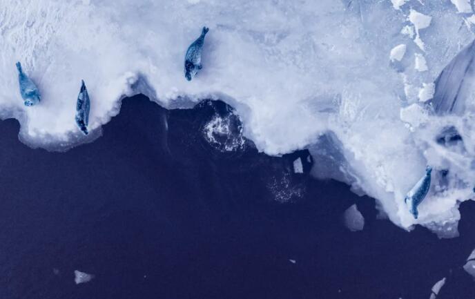 了解南极冰的历史变化可以揭示未来的变化