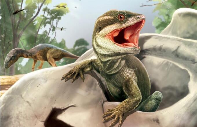 新的化石物种代表了大多数现代爬行动物的古老先驱