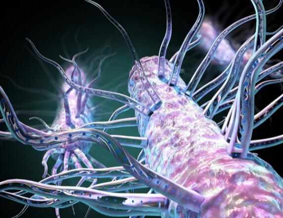 隐藏的细菌毛发为大自然的电网供电