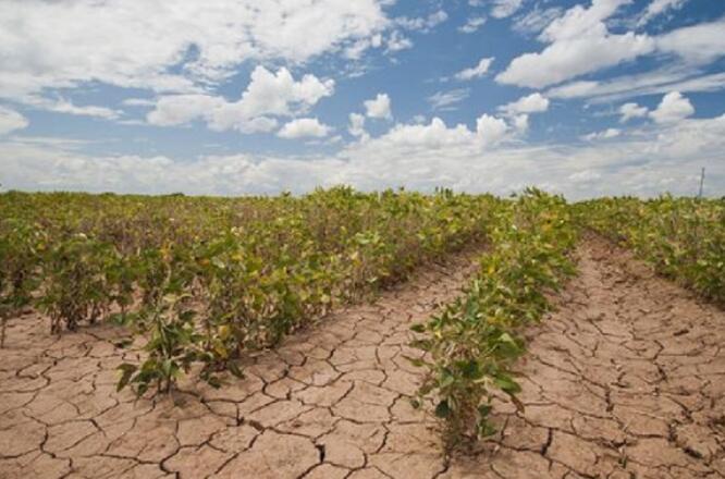 气候驱动的农业前沿构成重大环境风险