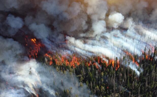 气候变化增加了野火的风险确认新的审查