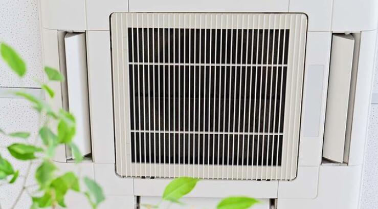 办公室空气质量可能影响员工的认知与生产力