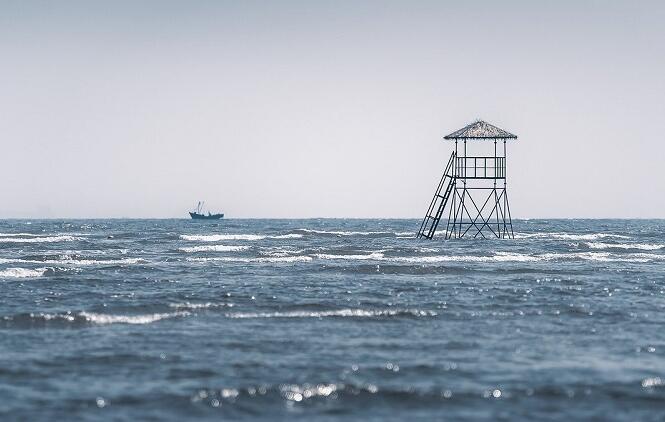 东海岸大部分地区在20世纪的海平面上升速度是2000年来最快的