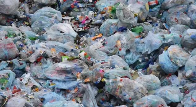 加纳、尼日利亚、印度尼西亚和越南联手对抗塑料污染