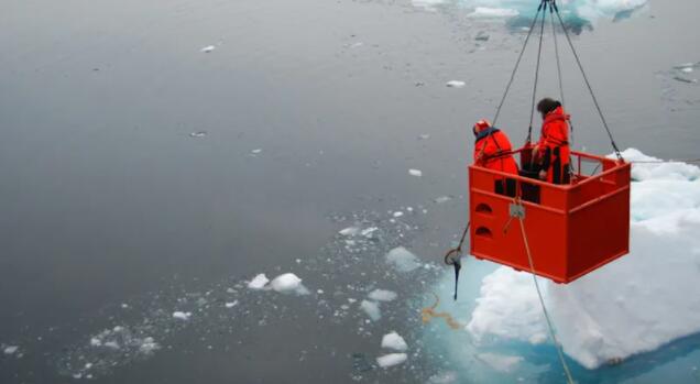 气候变化威胁极地海洋丰富食物网的基础