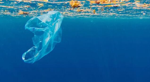 西班牙支持解决海洋塑料污染的全球协议