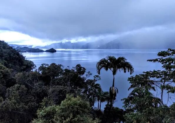 在重要的巴布亚新几内亚湿地发现生态系统崩溃的迹象