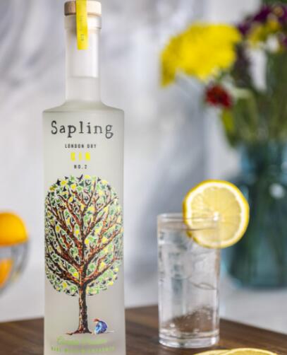 Sapling Spirits在皇家学院夏季展上推出环保杜松子酒
