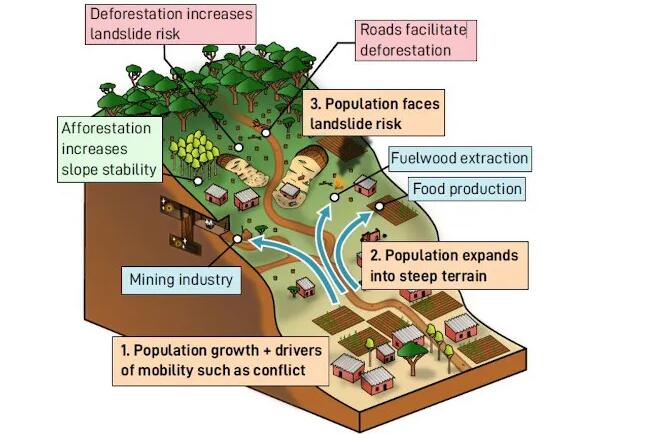 基伍裂谷的滑坡灾害风险与森林砍伐和人口增长有关