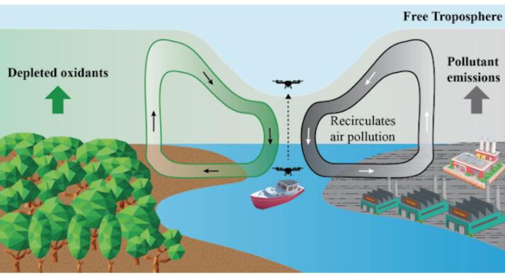 空气污染观测消除了亚马逊河的风
