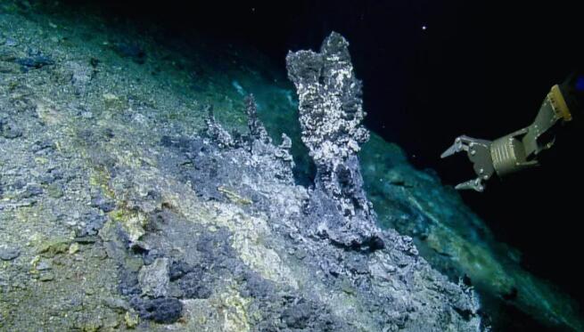 深海微生物捕食者在热液喷口的作用