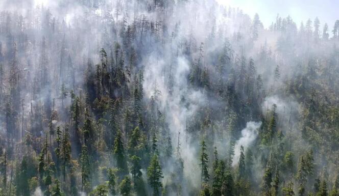 无路森林看到更多的火焰和更大的严重性 但防火能力是结果