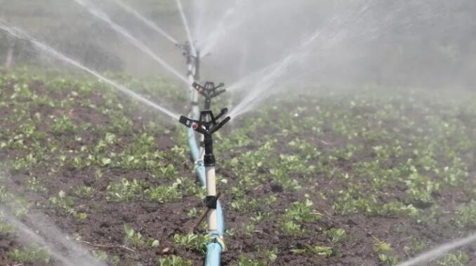 气温升高与臭氧对植物根系产生不利影响 促进土壤碳流失