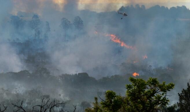 森林火灾如何影响亚马逊雨云的形成