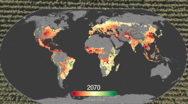 预计10年内全球气候变化对作物的影响