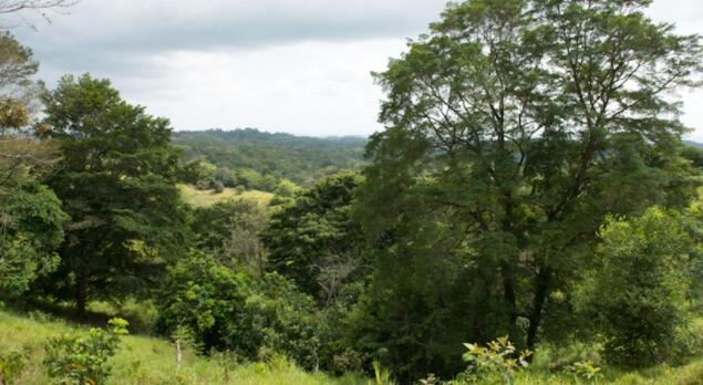 次生林恢复退化景观中的淡水资源