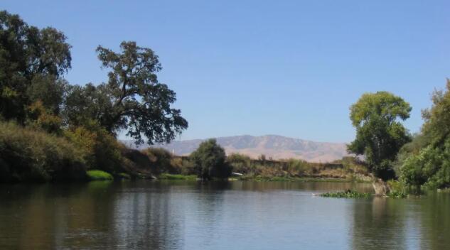 加州河流沿岸的生物多样性“热点”