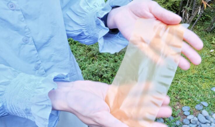 南大科学家表示他们的环保可重复使用花粉纸可以替代传统纸