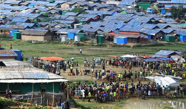 孟加拉国科学家在罗兴亚难民营推出了由IsDB资助的环保型住宅
