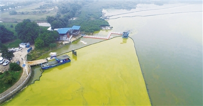 提升太湖控藻能力，保障河湖生态安全