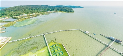 构建湖泊富营养化控制成套技术 支撑太湖流域水污染治理与管理