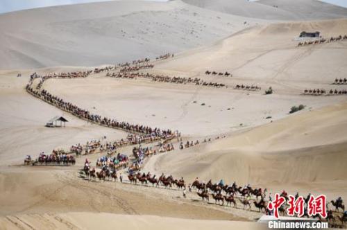 敦煌鸣沙山“牵驼人”：旅游旺季顶烈日徒步日行70公里