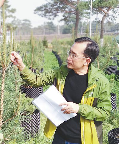 宋晓东 沙地边缘护松人