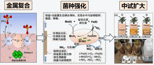 厂村融合复合污染高效节能控制技术，支撑武进港水污染综合控制与治理