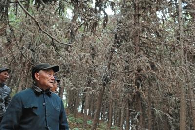 湖南桃源污染涉事铝企山顶偷埋近千吨含氟废料