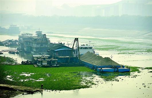汉江遇最严重水葫芦污染 居民称今年水格外浑浊