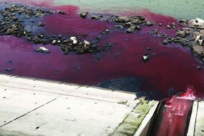 紫红色污水排入四川沱江 或为居民家用染料