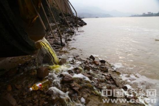 浙江泰朗钢管污水排瓯江 一级保护动物栖息地遭污染